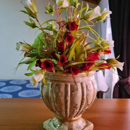 Bar Kafe Pjetri Patza-Kuqani